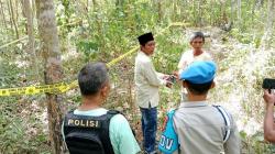 Ngeri! Ibu Hamil di Musi Rawas Tewas Terinjak-injak Gerombolan Gajah Liar