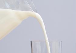 Konsumsi Susu RI Masih 17,76 Liter per Kapita, Tertinggal dari Malaysia hingga Vietnam
