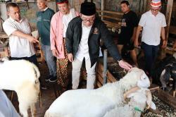 Arsitek Berpengalaman, Ridwan Kamil Punya Cara Revitalisasi Pasar Ternak Tanah Abang