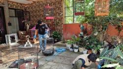 Terekam CCTV, Aksi Viral Pencuri 4 Burung Kicau Seharga Belasan Juta di Kulonprogo<