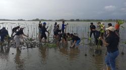 Tanam Mangrove Bersama Next Hotel, Pemuda Bantul: Penting Jaga Ekosistem dan Tanah Muara<