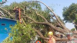 Cuaca Ekstrem Landa 3 Kabupaten di Sumut, BNPB Imbau Warga Waspada Bencana