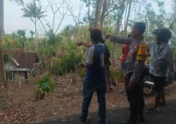 4 Warga Kulonprogo Dievakuasi ke Rumah Sakit usai Diserang Ratusan Tawon Gung<