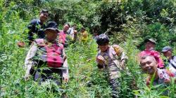 Ladang Ganja Kembali Ditemukan di Lereng Gunung Semeru, 4.459 Batang Tanaman Disita<