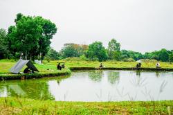 Melepas Penat dengan Memancing Ikan di Danau Mini Arcamanik Bandung