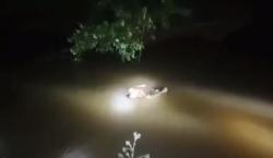 Ngeri! Jasad Pria Pencari Ikan di Mamuju Tengah Dibawa Buaya Keliling Sungai<
