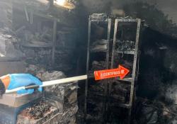 Terungkap! Kantor Pajak Kotabumi Ternyata Dibakar Eks Satpam, Ini Motifnya<