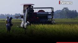 Prabowo Beberkan Langkah Kejar Swasembada: Bangun Lumbung Pangan hingga Tingkat Desa