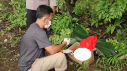 Mengenaskan, Mayat Bayi Ditemukan dalam Kardus Dikerubuti Lalat di Gowa<