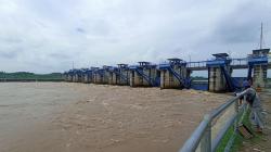 Sungai Bengawan Solo di Bojonegoro Siaga 1 Banjir, Imbas Curah Hujan Tinggi<