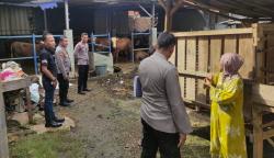 Belasan Hewan Ternak di Tambun Bekasi Diduga Diracuni, 1 Sapi Tewas<