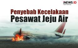 Infografis Penyebab Kecelakaan Pesawat Jeju Air