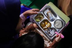Ibu Hamil hingga Balita Makan Bergizi Gratis, Ini Menunya
