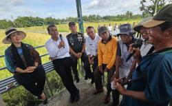 Bulog Diminta Beli Gabah Petani Rp6.500 per Kg, Mentan Amran: Tak Boleh Ditawar<