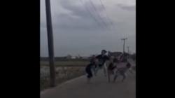 Viral Perkelahian Sengit 6 Siswi SMP di Karawang hingga Tercebur ke Irigasi Sawah<