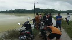 Bendungan Way Gatel, 200 Hektare Sawah di Pringsewu Terendam Banjir<