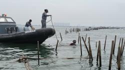 Kejagung Kembalikan Berkas Kasus Pagar Laut Tangerang ke Bareskrim, Ini Alasannya
