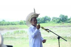 Mentan bakal Tindak Tegas Importir Singkong: Jangan Zalimi Petani!