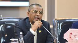 Profil Arisal Aziz Anggota DPR Tajam Mengkritik Program Naturalisasi Timnas<
