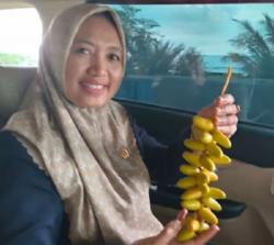 Rohani Anggota DPRD NTB dari Partai Perindo Dorong Pengembangan Kurma di Lombok Utara<