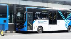 Transjakarta Ubah Rute Pola Layanan di Akhir Pekan, Ini Daftarnya
