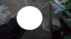 Terdengar Kegaduhan Usai Sahur, Pria di Purwakarta Ditemukan Tewas Bersimbah Darah<