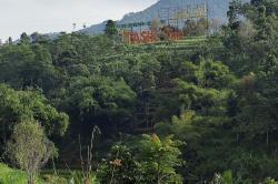 Libur Lebaran di Tasikmalaya, Ini Objek Wisata Pilihan yang Cocok Dikunjungi<