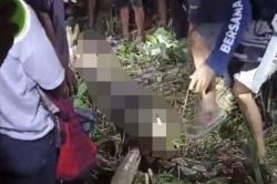 Kronologi Nenek Hasiah di Sidrap Ditemukan Tewas dalam Perut Ular Piton<