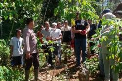 Pilu! Mayat Bayi Ditemukan Terkubur di Kebun Singkong Warga Lebak