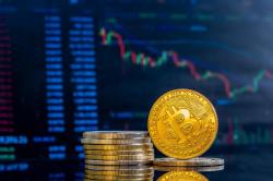 Investigasi Terbaru Ungkap Sosok Pencipta Bitcoin Satoshi Nakamoto, Siapa Dia?