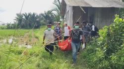 Mayat Pria Misterius Ditemukan di Gubuk Tengah Sawah Pandeglang Banten<
