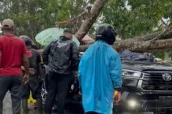 Polisi Tewas Tertimpa Pohon Tumbang di Tanjab Timur Jambi, Istri dan Anak Terluka<
