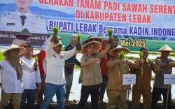 Wujudkan Ketahanan Pangan, Sekjen Partai Perindo Apresiasi Gerakan Tanam Padi Sawah Serentak di Lebak