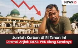 Infografis Pekurban di RI Tahun Ini Diramal Anjlok, IDEAS: PHK Biang Keroknya