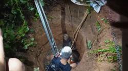 Dramatis, Petugas Damkar Berjibaku Evakuasi Sapi Kurban Tercebur Sumur di Bengkulu<