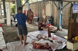 Masjid Raudhatul Jannah MNC Studios Potong Hewan Kurban: 5 Sapi dan 8 Kambing