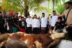 Presiden Prabowo Kirim Sapi Kurban Jumbo untuk Ustaz Abdul Somad, Dibalas dengan Pantun