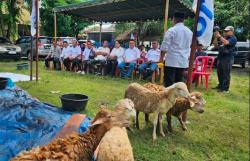 Rayakan Idul Adha, Partai Perindo Sembelih 7 Ekor Hewan Kurban di Medan<