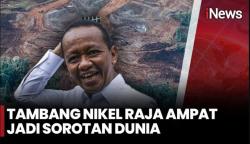 Aktivitas Pertambangan Nikel di Raja Ampat Dihentikan Sementara, Puluhan Alat Berat Terparkir