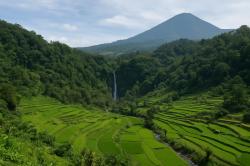 3 Jalur Alternatif ke Tawangmangu yang Gak Pernah Bikin Stres di Google Maps, Pas Buat Healing Sekeluarga