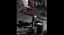 Viral Influencer di Cianjur Dianiaya Mantan Kekasih Terekam CCTV