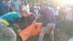 Penjaga Kebun Sawit di Labusel Ditemukan Tewas, Luka Tusuk di Dada dan Pukulan di Kepala<