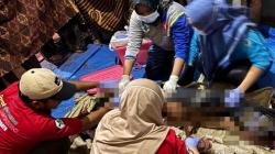 Tragis! Nenek Tewas Mengenaskan Diserang Beruang di Kebun Kopi Way Kanan Lampung<