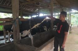 Klaster Susu di Ponorogo Berhasil Tingkatkan Kapasitas Produksi Berkat Fasilitas Pembiayaan dari BRI