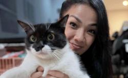 Heboh, Nirina Zubir Tinggal Bareng 24 Kucing di Rumah 