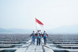Terus Tumbuh, Green Financing BRI Tercatat Capai Rp89,9 Triliun