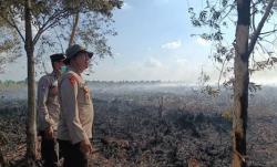 Karhutla Mulai Kepung Jambi, Lahan Gambut Seluas 50 Hektare Terbakar<