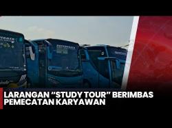 Karyawan PO Bus Kena PHK gegara Kebijakan Gubernur Jabar Dedi Mulyadi Larang Study Tour
