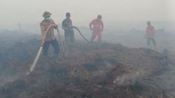 Petugas Kewalahan Padamkan Kebakaran Lahan Gambut Muarojambi<