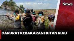 Kebakaran Meluas, Riau Darurat Karhutla